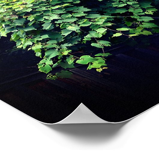 自然の玉座の野生の葉のつる植物 ポスター (角)