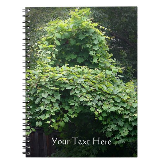 自然の王座 ノートブック (正面)