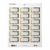 自然の生息地における砂漠の亀のイラストレーション ラベル (フルシート)