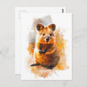 自然の生息地の水色クッカ ポストカード (正面/裏面)