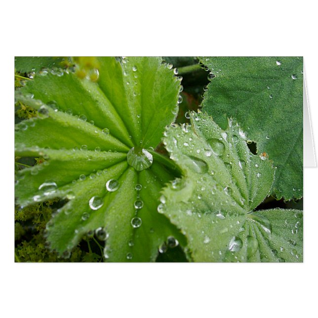 自然の破損 (正面横)