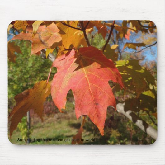 自然の粋なマウスパッド マウスパッド (正面)