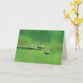 自然の緑の草の詩に露が落ちる カード (黄色い花)