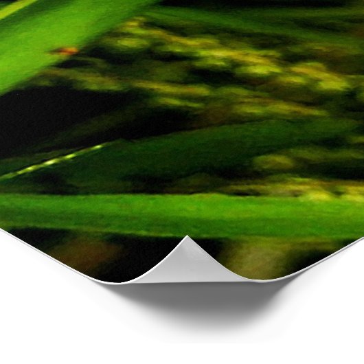 自然の緑 ポスター (角)