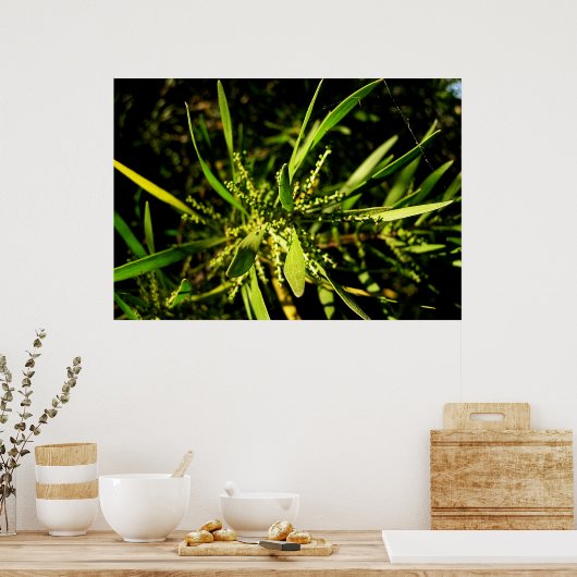 自然の緑 ポスター (キッチン)