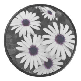 自然の繊細なコントラスト アイスホッケーパック