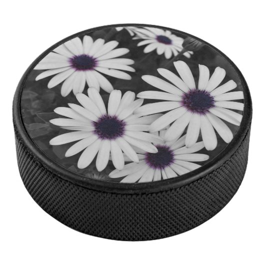 自然の繊細なコントラスト アイスホッケーパック (3/4)