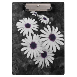 自然の繊細なコントラスト クリップボード