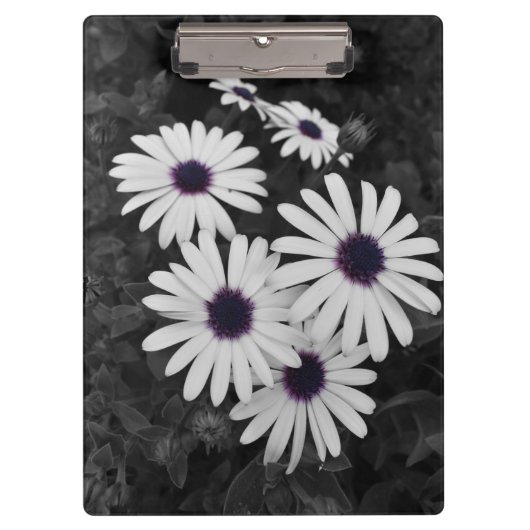 自然の繊細なコントラスト クリップボード (正面)