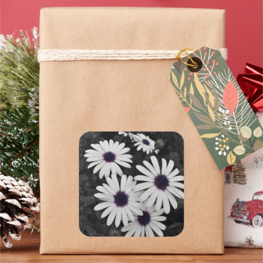 自然の繊細なコントラスト スクエアシール (クリスマス)