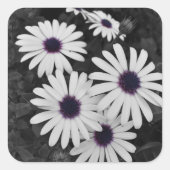 自然の繊細なコントラスト スクエアシール (正面)