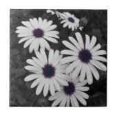 自然の繊細なコントラスト タイル (正面)