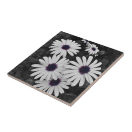 自然の繊細なコントラスト タイル