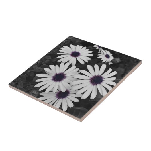 自然の繊細なコントラスト タイル (側面)