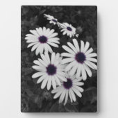 自然の繊細なコントラスト フォトプラーク (正面)