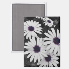 自然の繊細なコントラスト マグネット