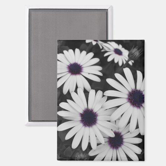 自然の繊細なコントラスト マグネット (正面/裏面)