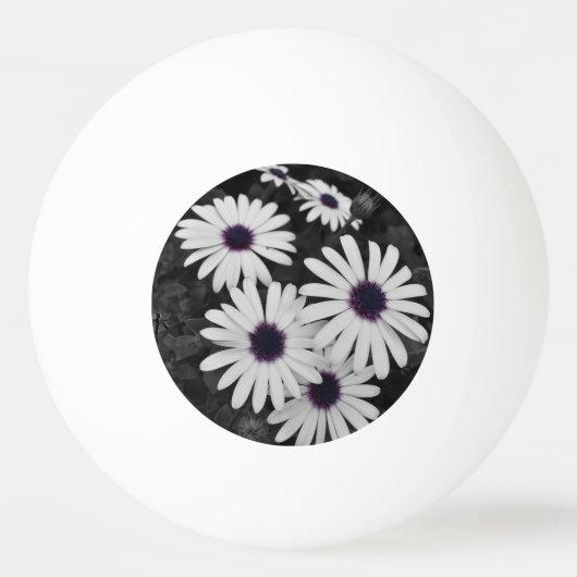 自然の繊細なコントラスト 卓球ボール (正面)