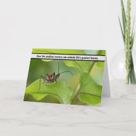 自然の繊細なバランス – 虫の葉» サンキューカード