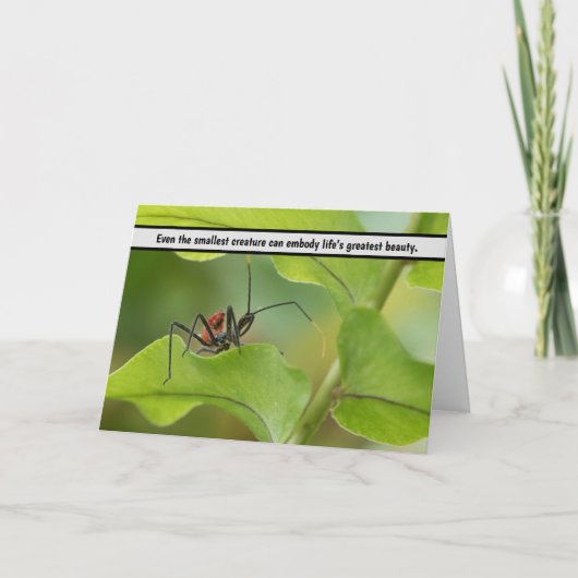 自然の繊細なバランス – 虫の葉» サンキューカード (正面)