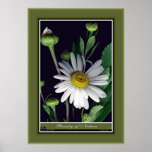 自然の美しいr/p12 ポスター (正面)