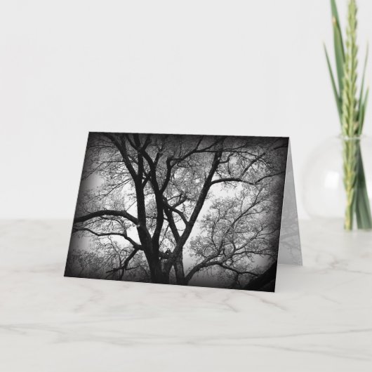 自然の肢 カード (正面)