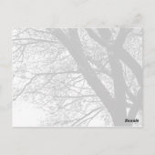 自然の肢 ポストカード (裏面)