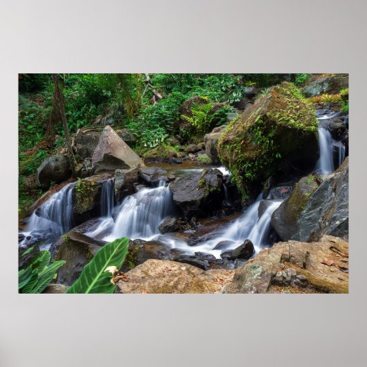 自然の至福 ポスター (正面)