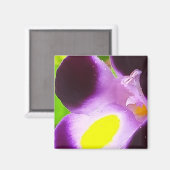 自然の花のマグネット マグネット (正面/裏面)