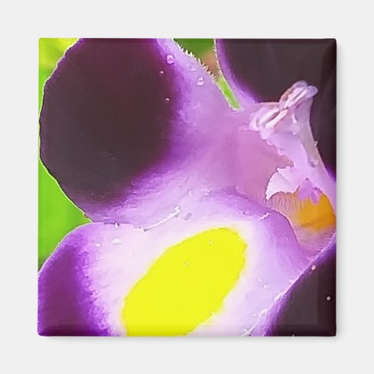 自然の花のマグネット マグネット (正面)