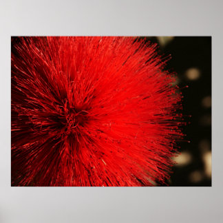 自然の花火 ポスター