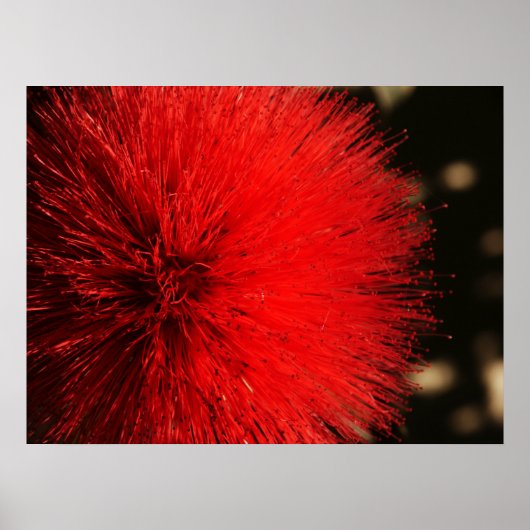 自然の花火 ポスター (正面)