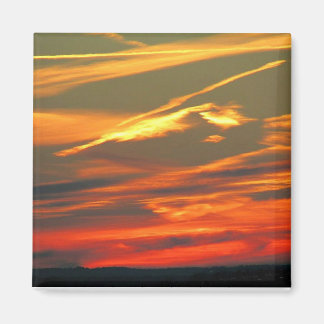 自然の芸術作品 マグネット