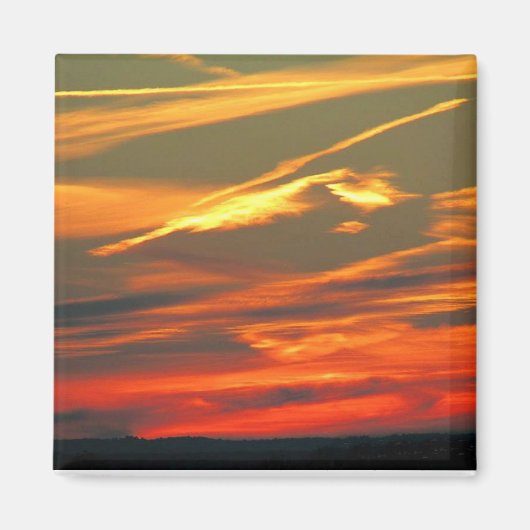 自然の芸術作品 マグネット (正面)