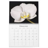 自然の芸術 カレンダー (2月 2026)