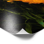 自然の芸術 フォトプリント            (角)