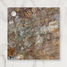 自然の荒々しい岩浜　貝殻　夏のような