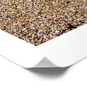 自然の要素 – 流木ビーチポスター ポスター (角)