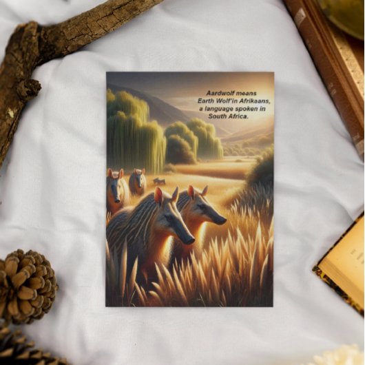 自然の調和:フィールドのAardwolf Frolicking ポストカード