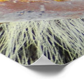 自然の謎 ポスター (角)