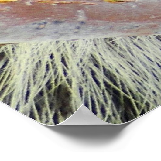 自然の謎 ポスター (角)