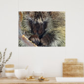 自然の謎 ポスター (キッチン)