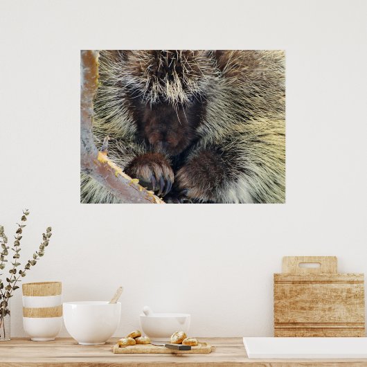 自然の謎 ポスター (キッチン)