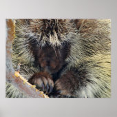 自然の謎 ポスター (正面)