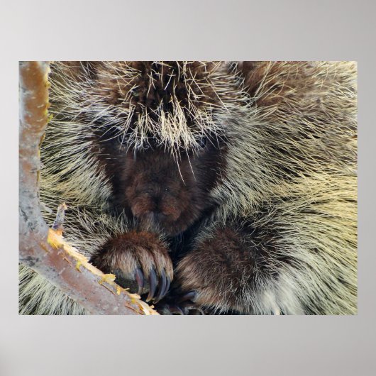 自然の謎 ポスター (正面)