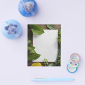 自然の静穏 チラシ (シングル)