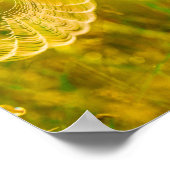 自然の風景蜘蛛のクモの巣の日光 ポスター (角)