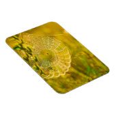 自然の風景蜘蛛のクモの巣の日光 マグネット (右側)