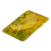 自然の風景蜘蛛のクモの巣の日光 マグネット (左側)