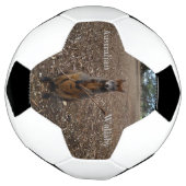 「自然の饗宴：ワラビーのおやつのときの休憩」 サッカーボール (回転)